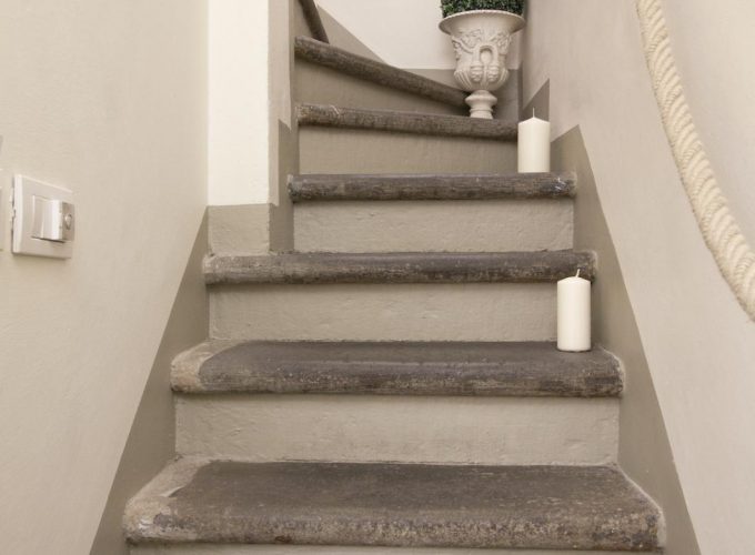 belvedere7